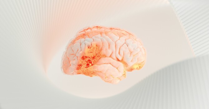 Vestibular & Concussion Management