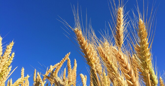 Mountain View VersaMC